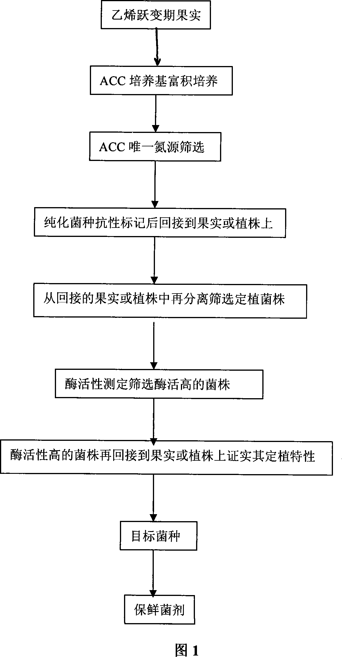 Bio-preserving fungus agent and its preparation method
