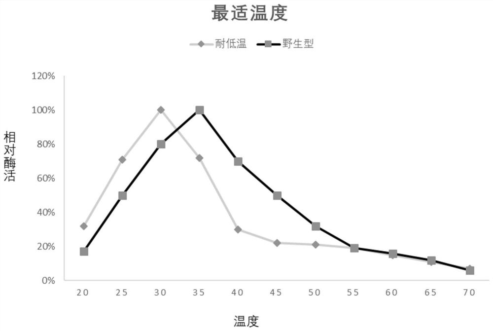 A kind of chitinase low temperature resistant mutant and its application