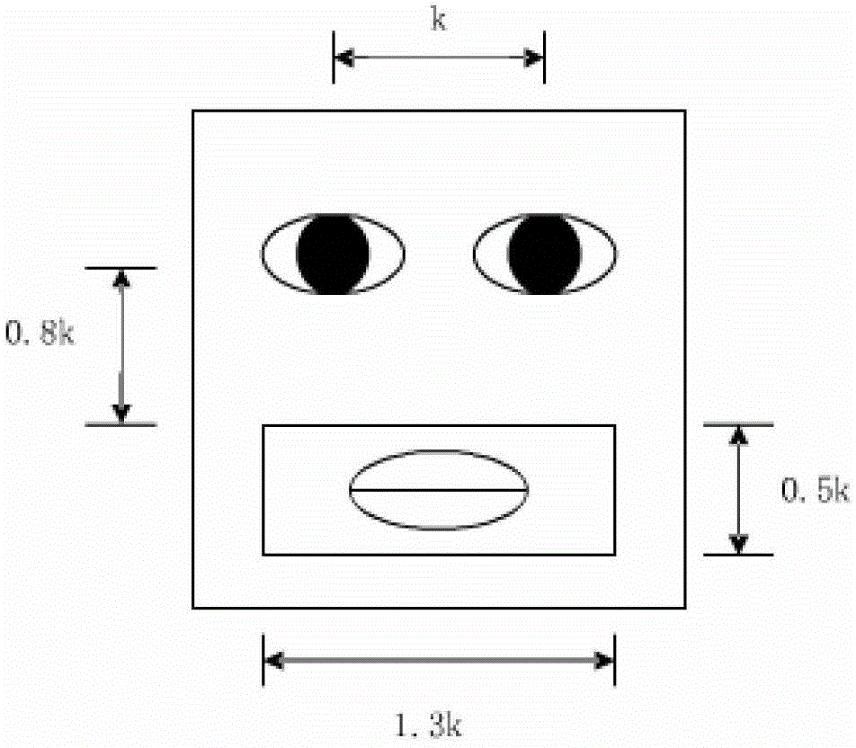 Facial expression recognition method based on facial motion unit combination features