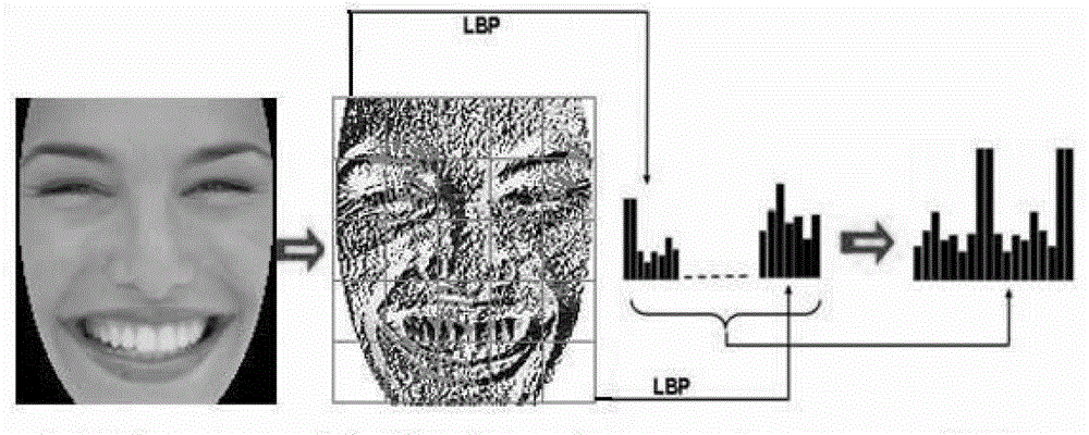 Facial expression recognition method based on facial motion unit combination features