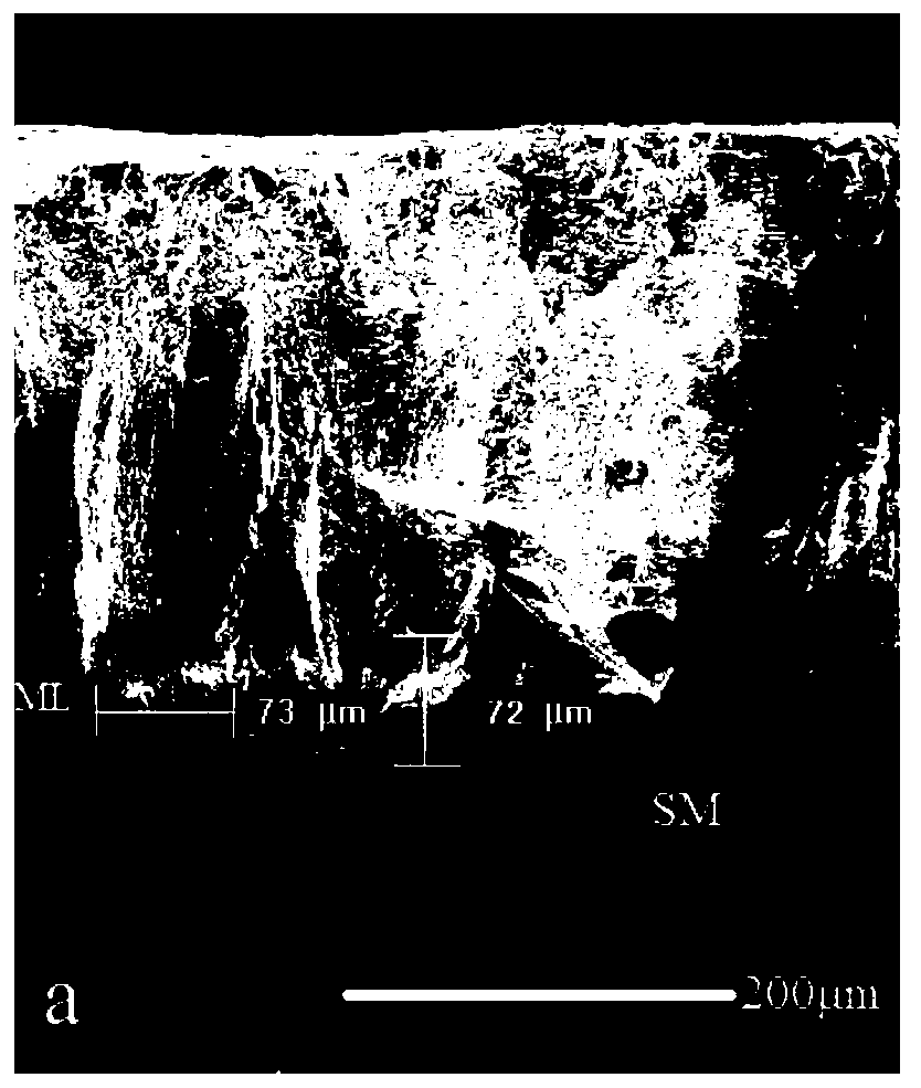 A compound additive for improving eggshell quality of aged eggs and its application