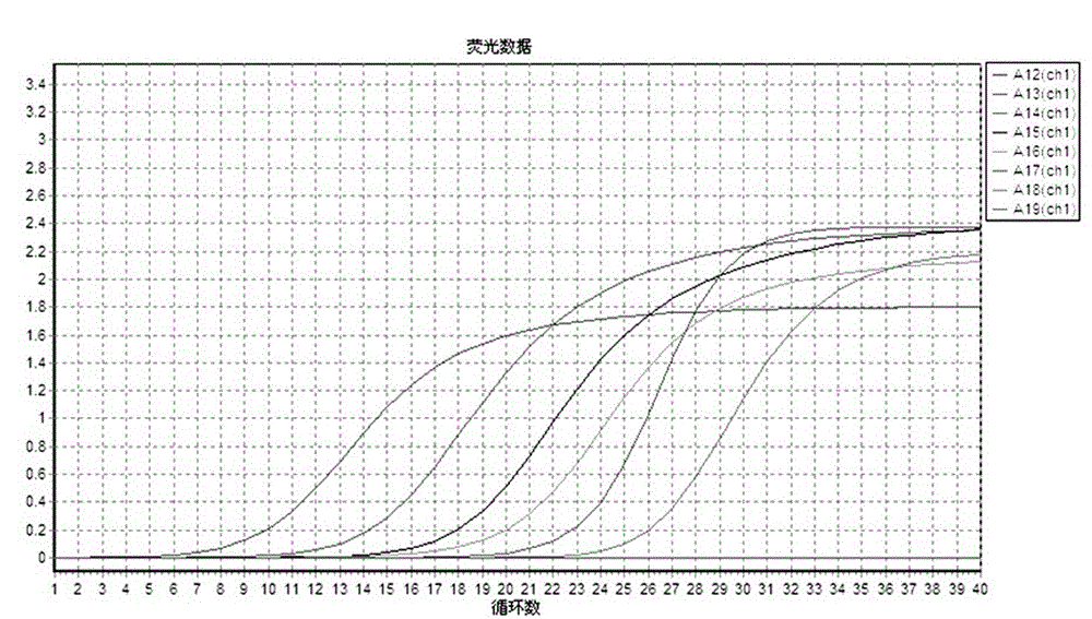 Primers and probes for quantitative detection of Klebsiella pneumoniae and their application