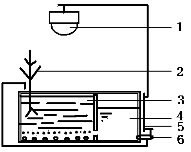 Balcony microecosystem