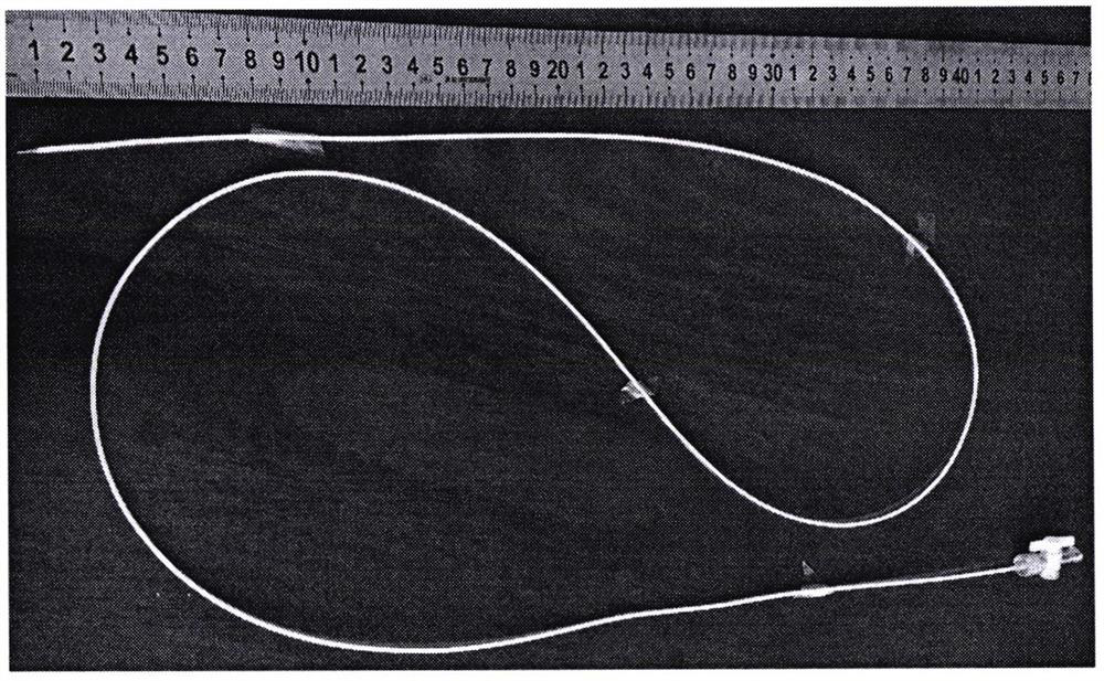 A kind of developable alginic acid-based biomaterial and its preparation method