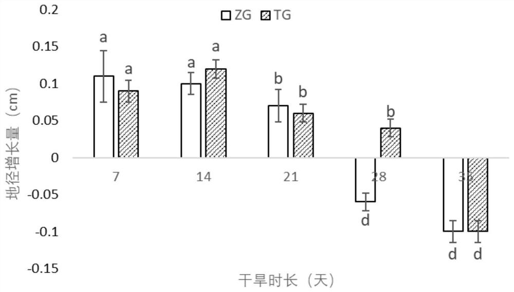 Composite nutrition regulator for regulating and controlling period of bougainvillea speetabilis and regulating and controlling method thereof