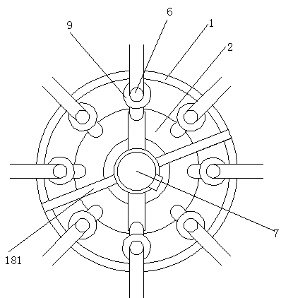 Cranberry instant powder and preparation method thereof