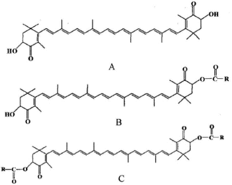 Method for breaking walls of Haematococcus pluvialis and extracting astaxanthin