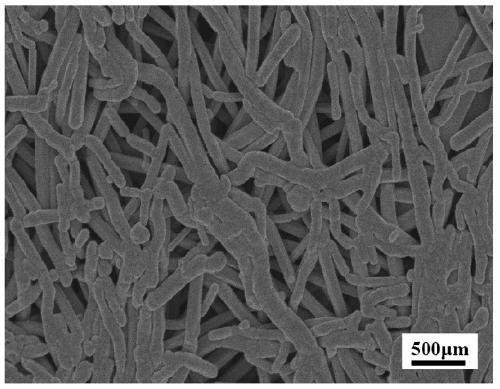 Silver nanowire positive electrode for zinc-silver battery and preparation method thereof