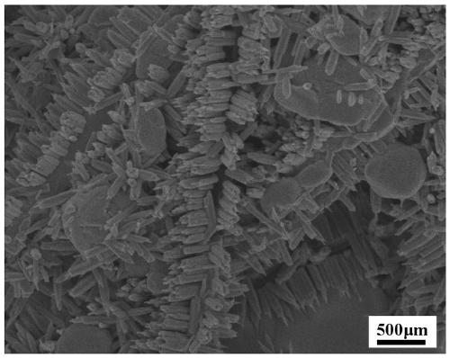 Silver nanowire positive electrode for zinc-silver battery and preparation method thereof