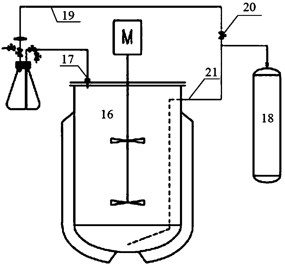 Liquid fermentation tank inoculation device of obligate anaerobes, and inoculation method