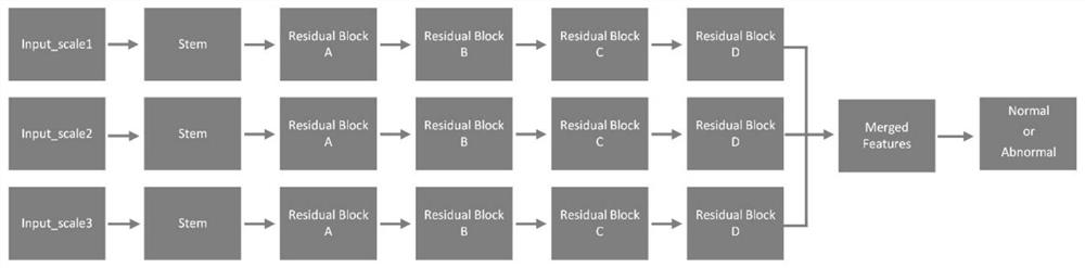 A combined high and low resolution image classification system for cervical cell slices