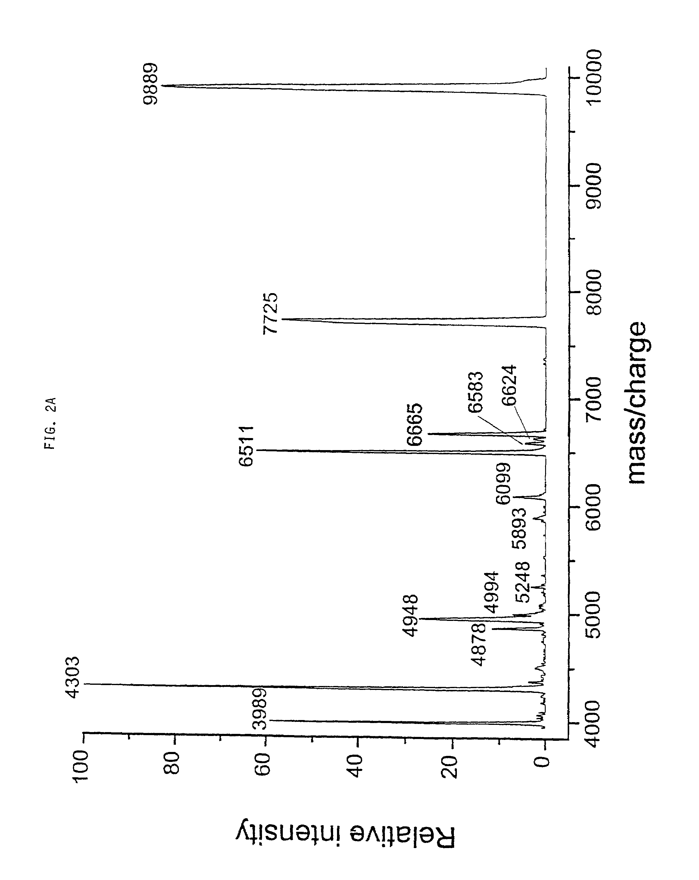 Methods for identifying and classifying organisms by mass spectrometry and database searching