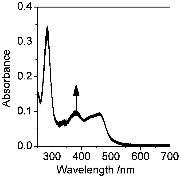 Preparation method and application of physiological pH sensing binuclear ruthenium complex