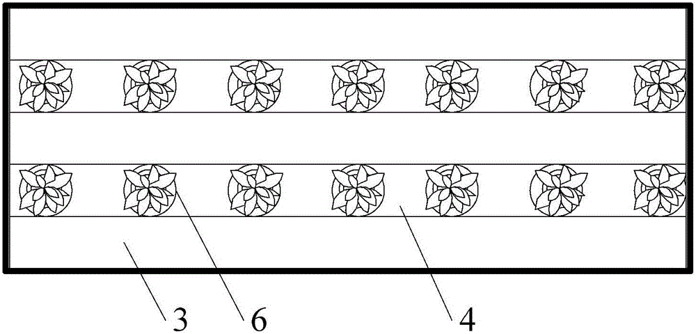 Automatic control system for viewing and picking strawberry planting greenhouse