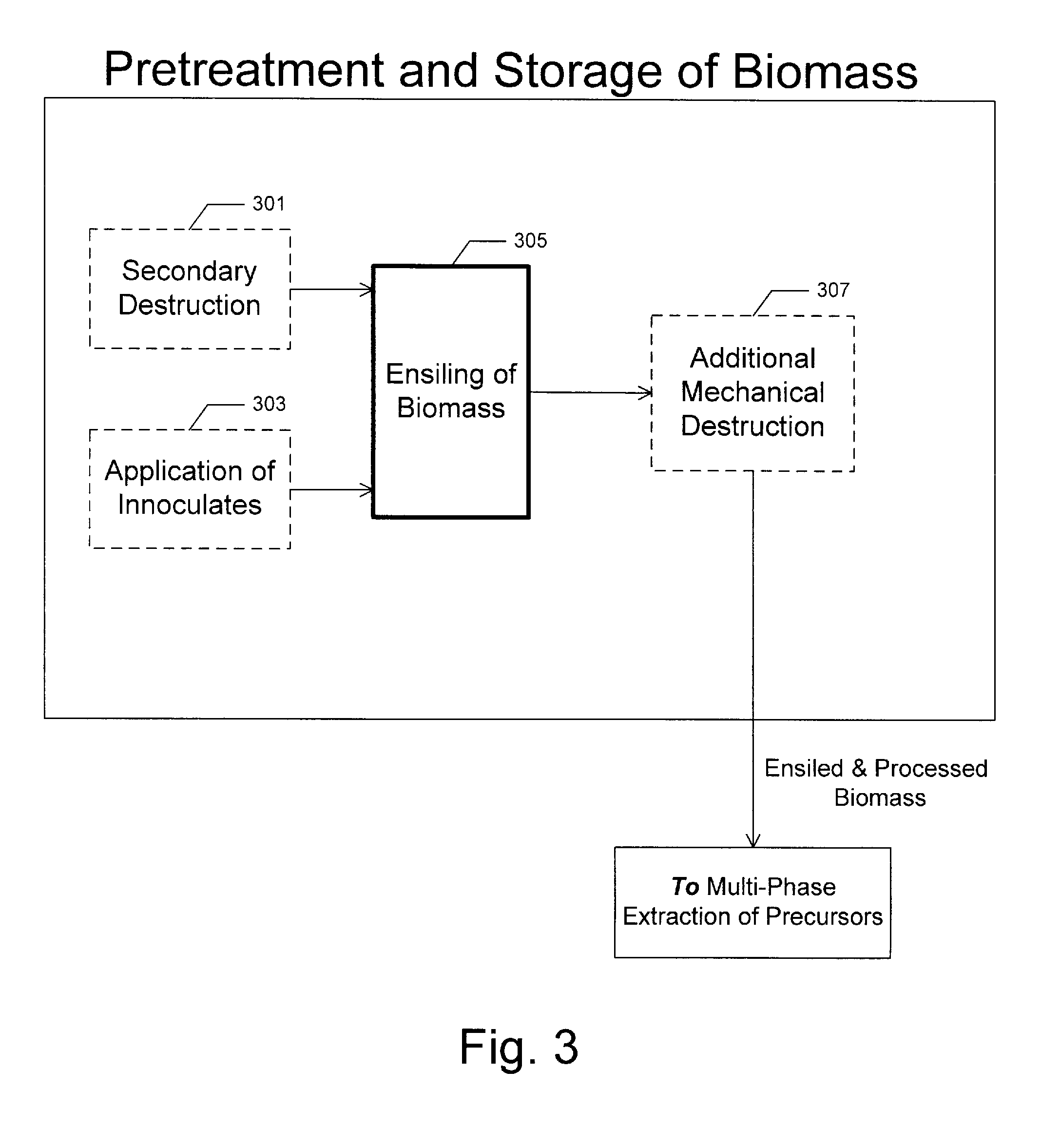 Ensiling Biomass For Biofuels Production And Multiple Phase Apparatus For Hydrolyzation Of Ensiled Biomass
