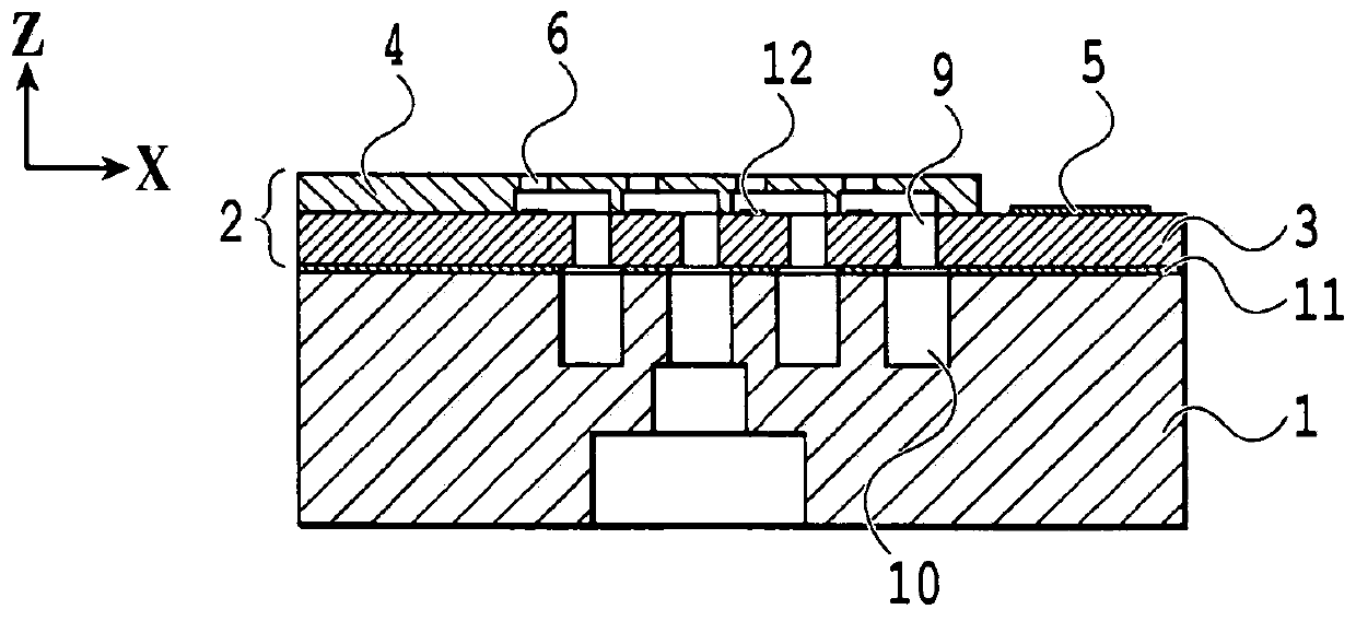 Liquid ejection head and process for producing liquid ejection head