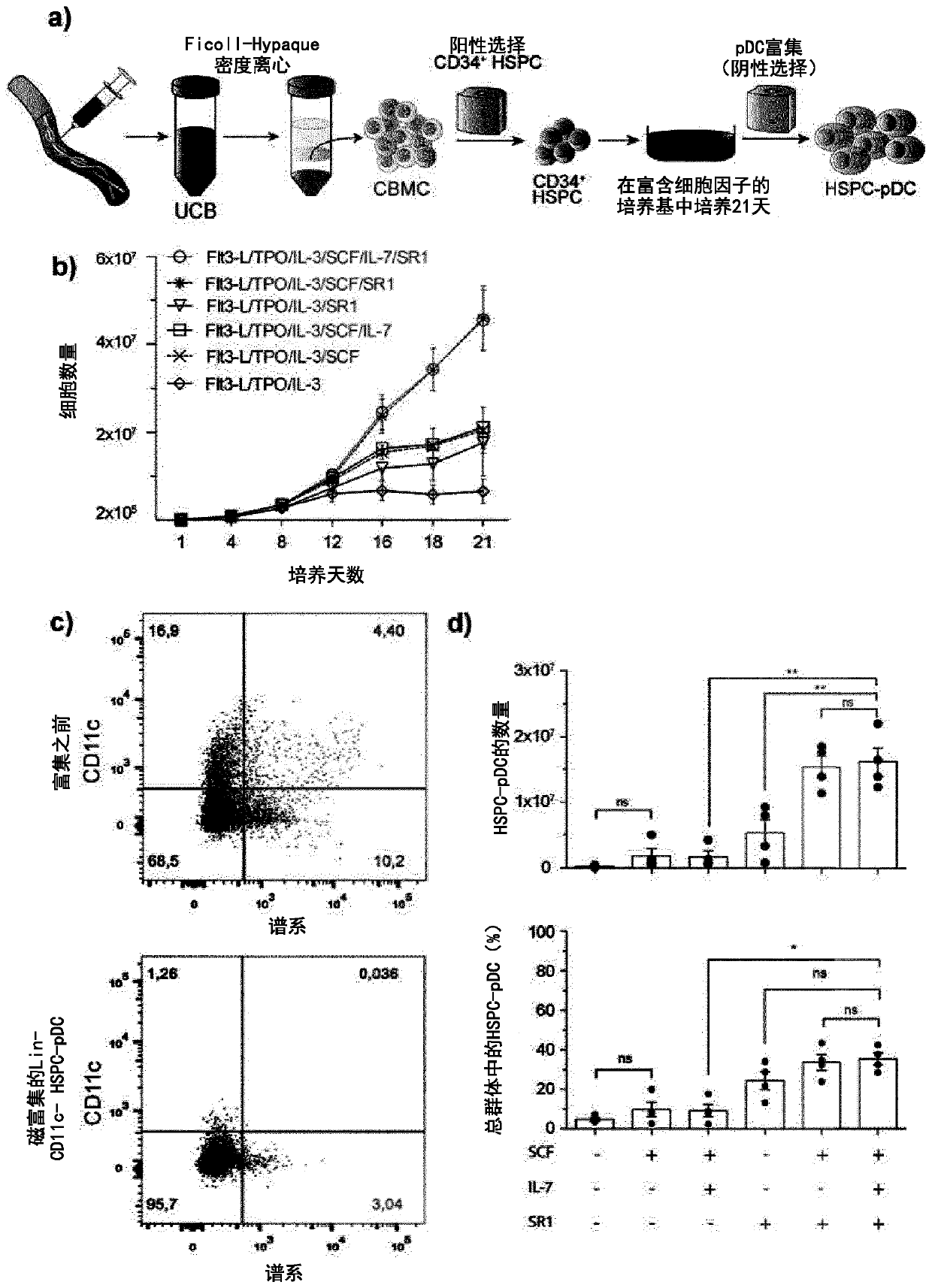 Interferon primed plasmacytoid dendritic cells