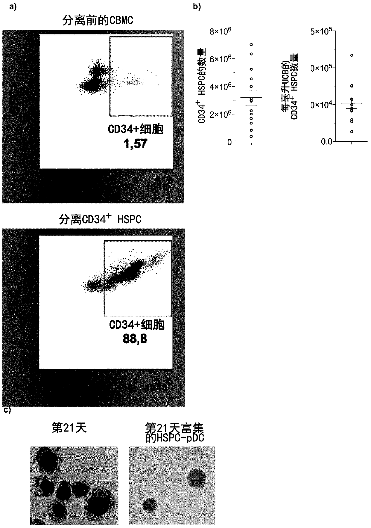 Interferon primed plasmacytoid dendritic cells