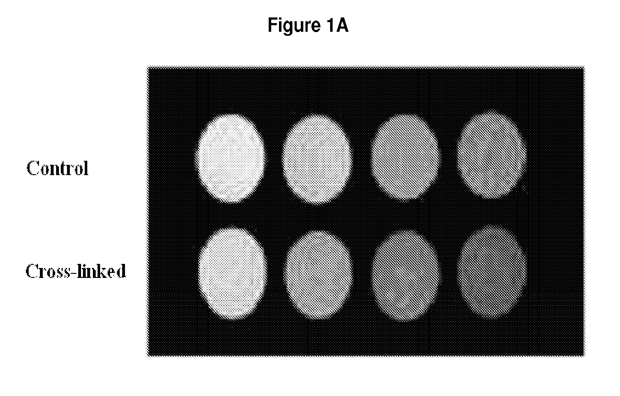 Methods and Compositions Relating to Reporter Gels for Use in MRI Techniques