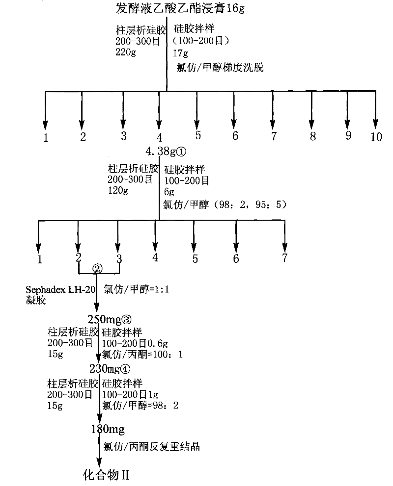 Method for separation preparation of compound 2,4-dihydroxy-5-methyl-acetophenone by using Basidiomycetes
