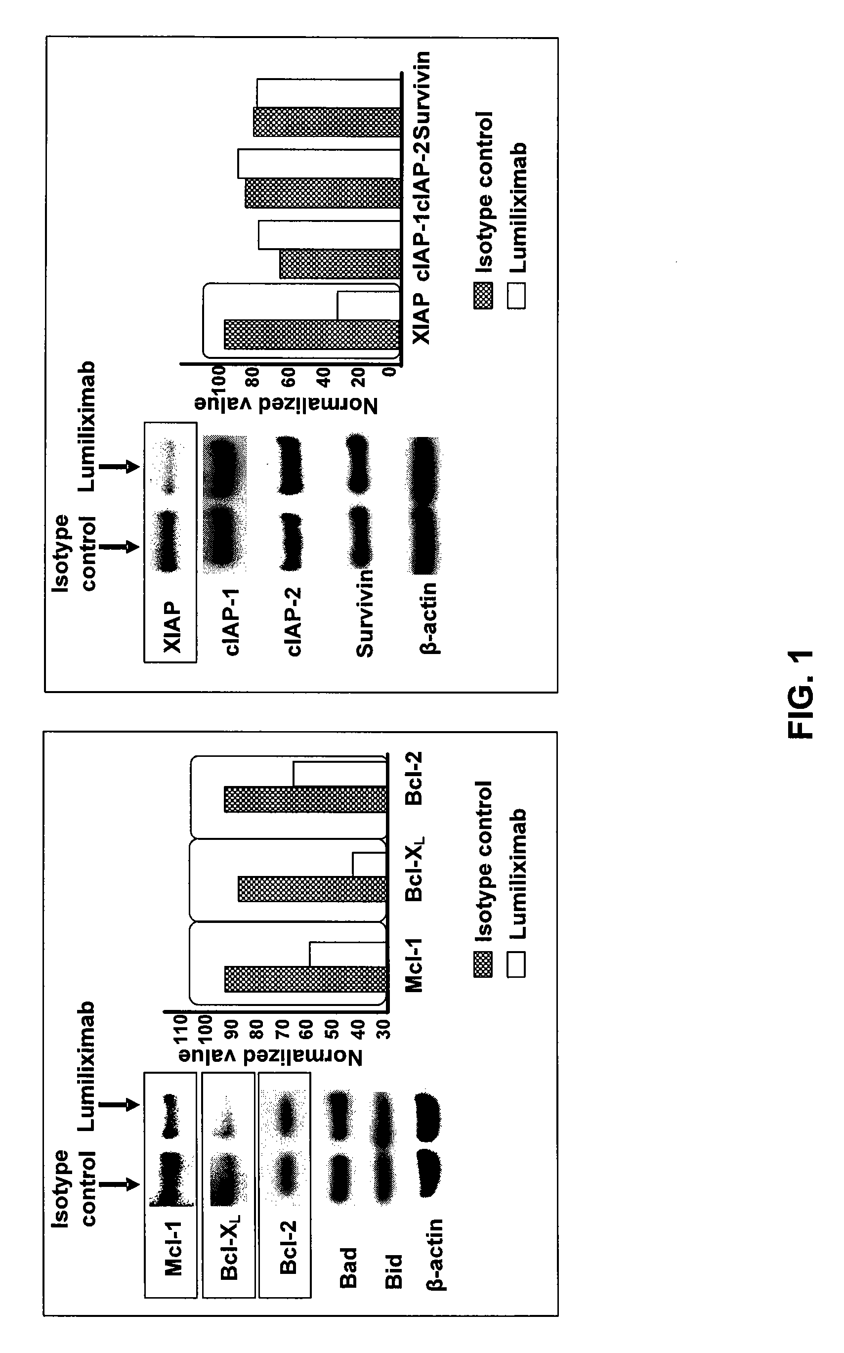 Use of CD23 Antibodies to Treat Malignancies in Patients with Poor Prognosis