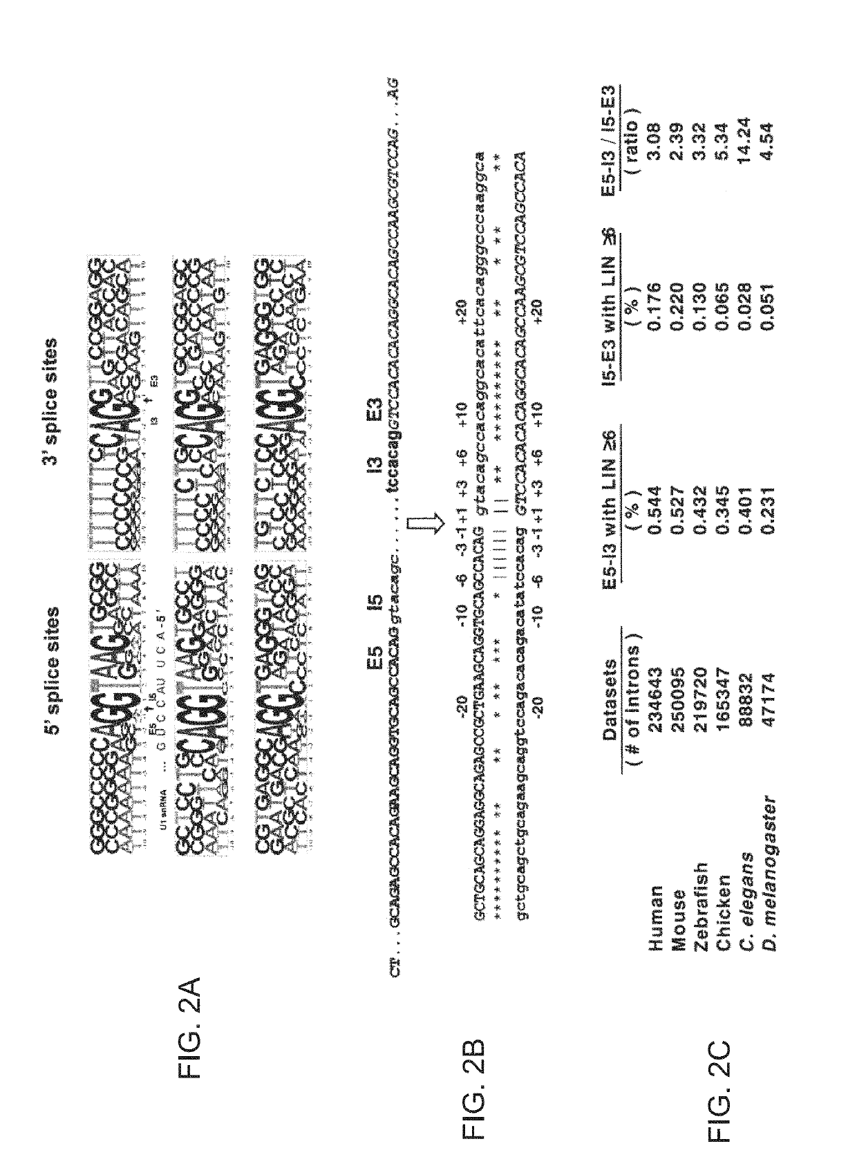 System and method for analyzing splicing codes of spliceosomal introns