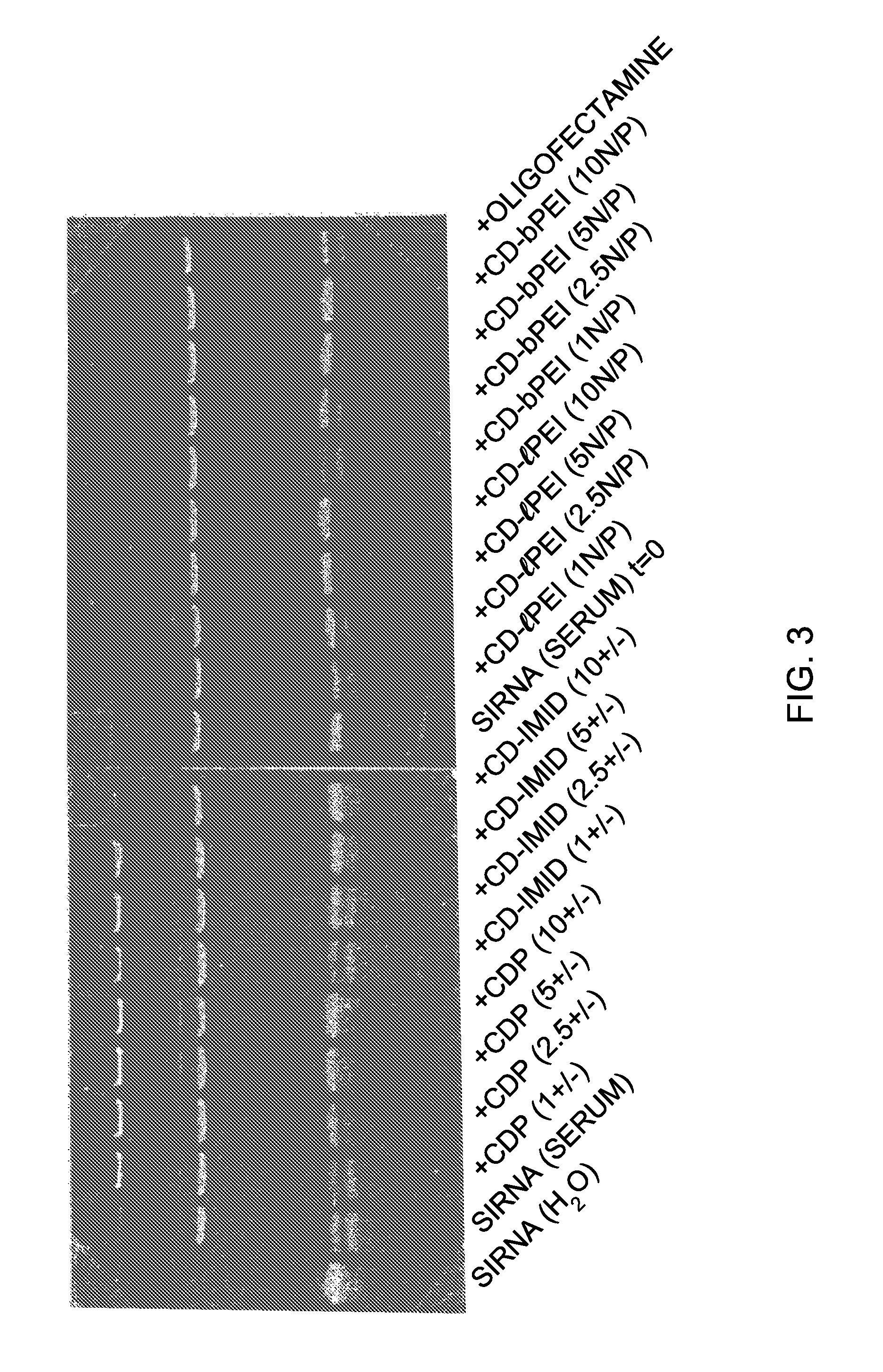 Methods and compositions for therapeutic use of RNA interference