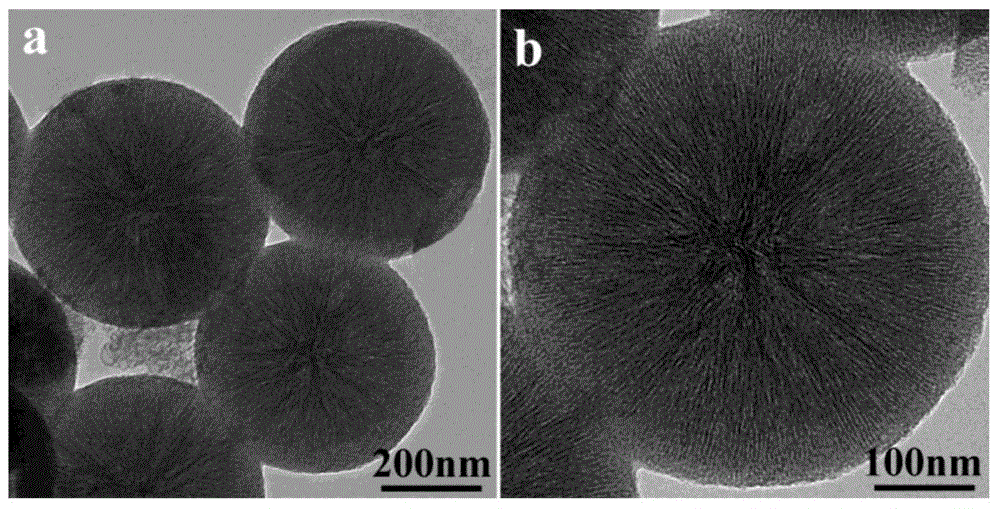 A highly ordered radial spherical wrinkled mesoporous silica material and its preparation method