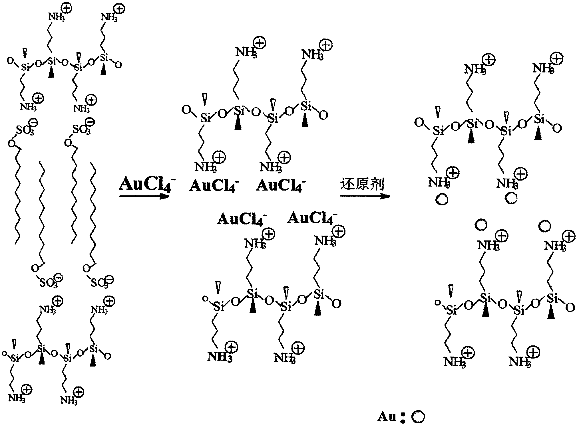 Au nanoparticle catalyst and preparation method thereof