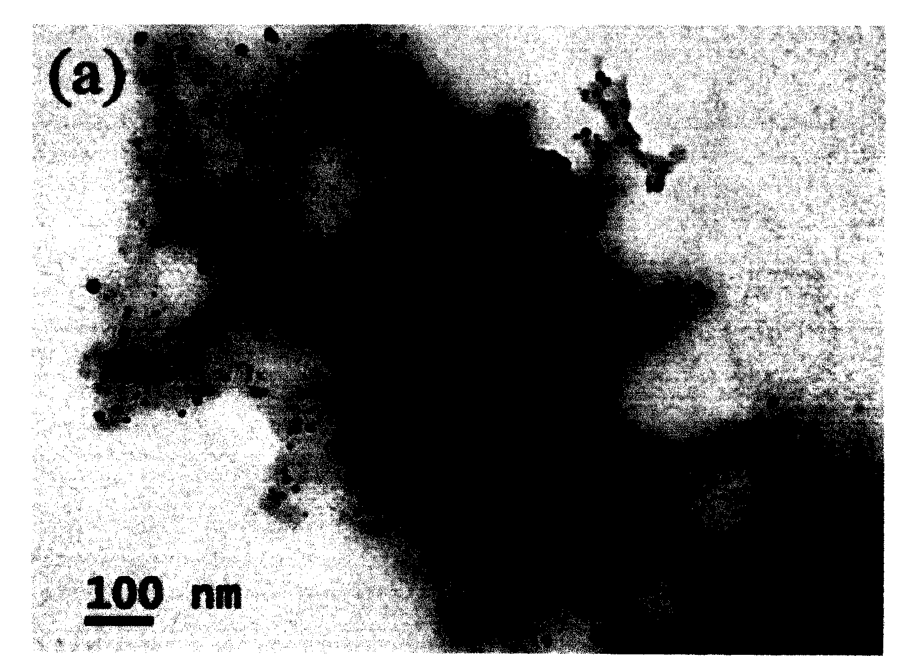 Au nanoparticle catalyst and preparation method thereof