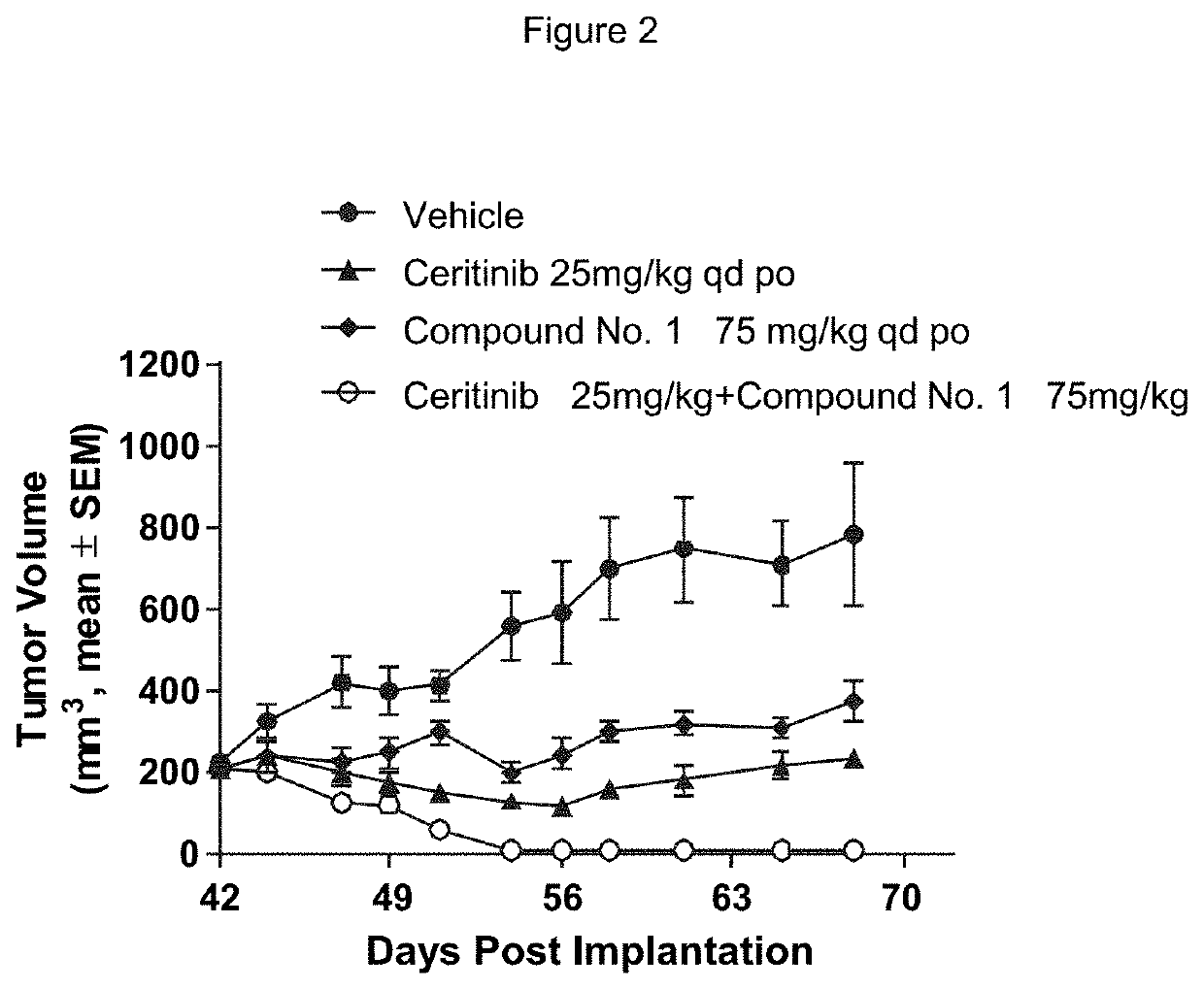 Pharmaceutical combination comprising an alk inhibitor and a shp2 inhibitor