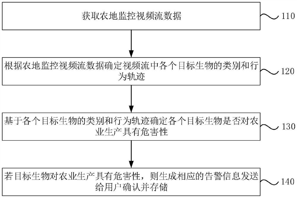 Farmland biological behavior monitoring and analyzing method, device and equipment based on video stream