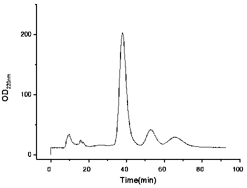 Puffer fish ACE inhibitory peptide and preparation method thereof