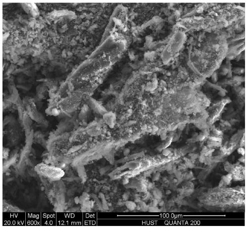 A kind of carbon material immobilized palladium catalyst, its preparation and application