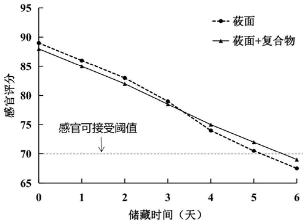 Polyphenol chitosan oligosaccharide compound as well as preparation method and application thereof