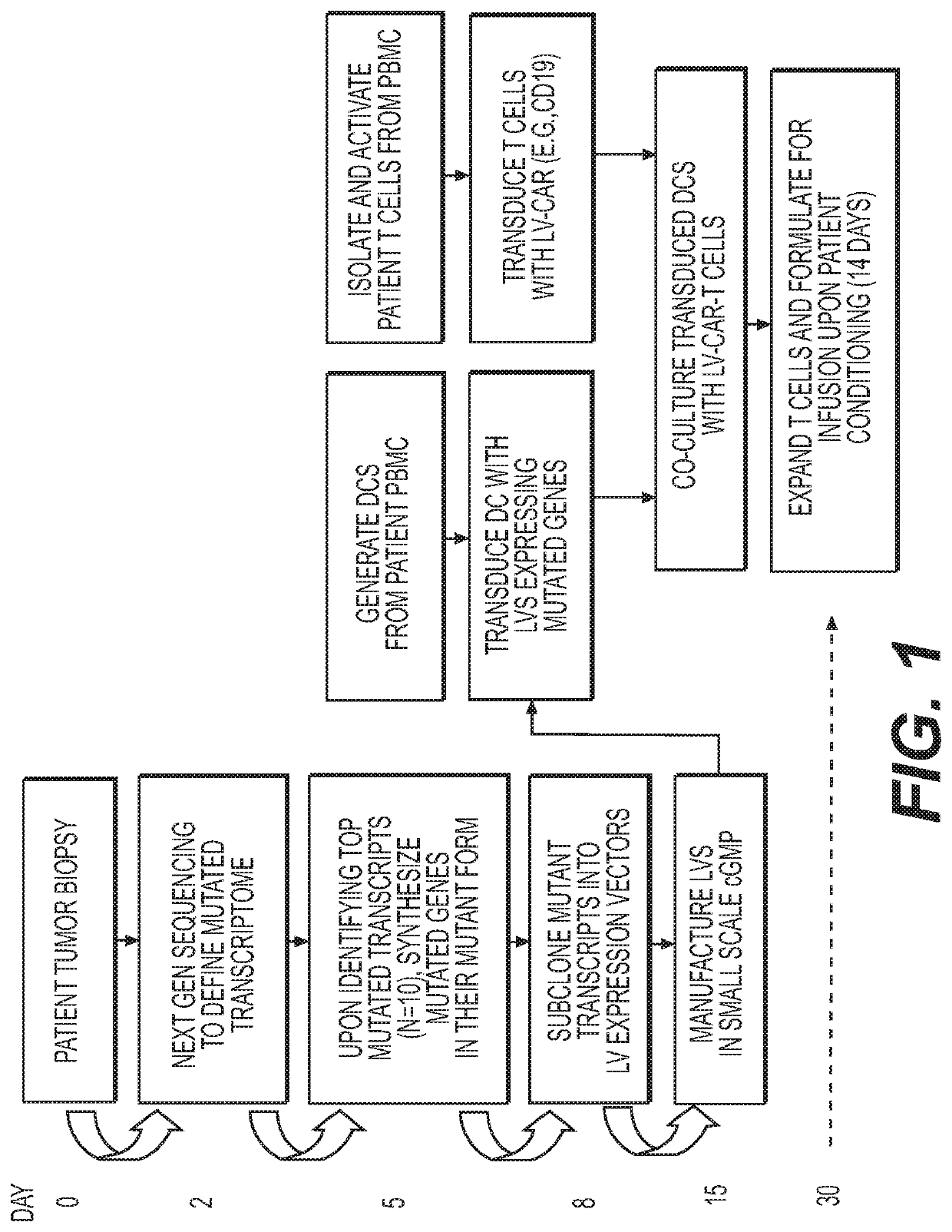 Method to treat cancer with engineered T-cells