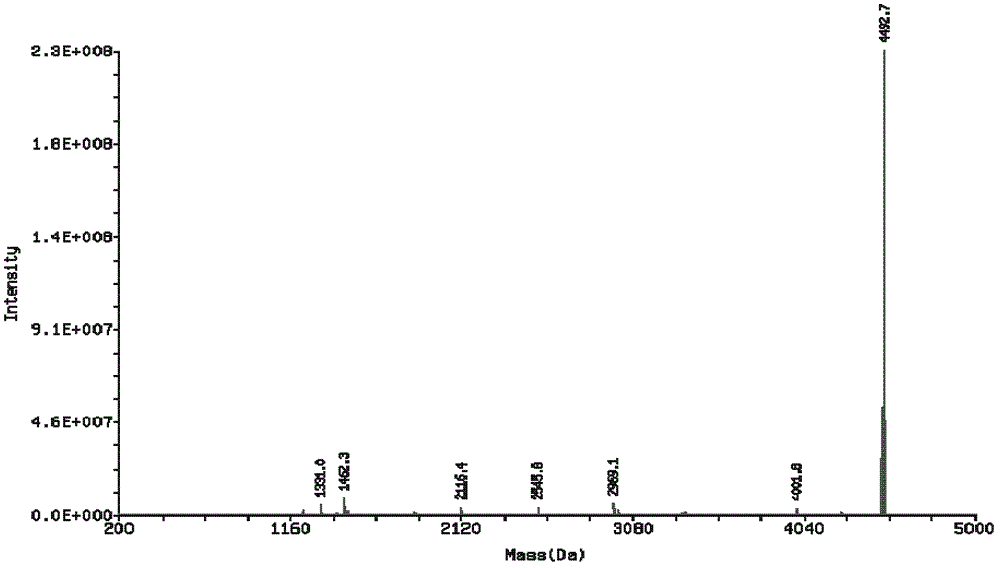 Genetic engineering expression of cecropin 11-37 and its preparation method and use
