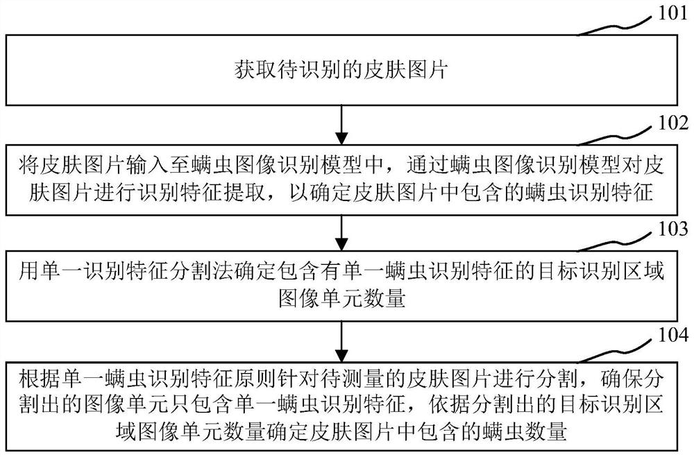 Non-contact testing method and system for skin mites, storage medium and processor