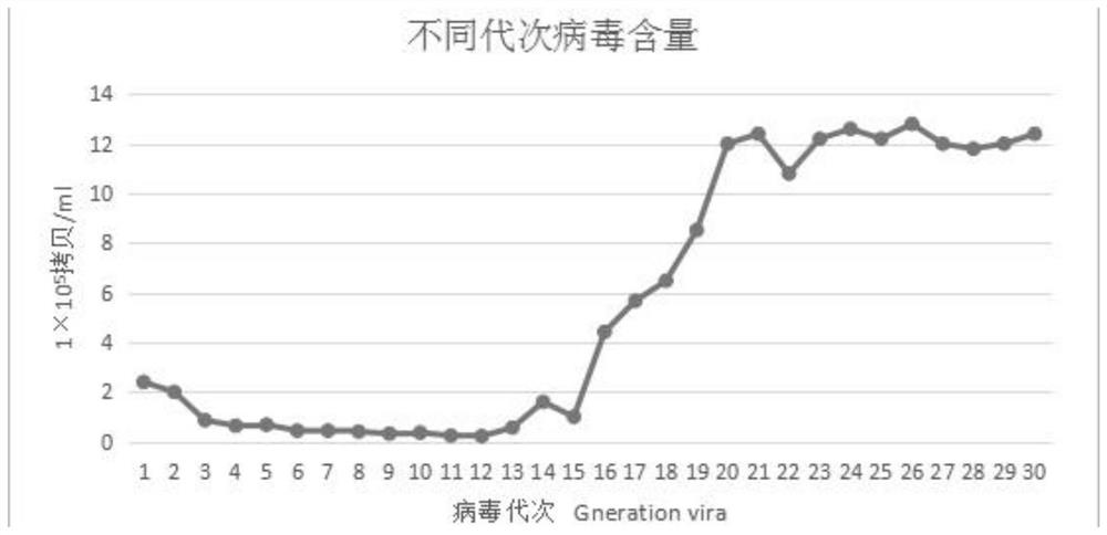 Cold-adapted strain GCRV-GD108ca of grass carp reovirus type II and application thereof