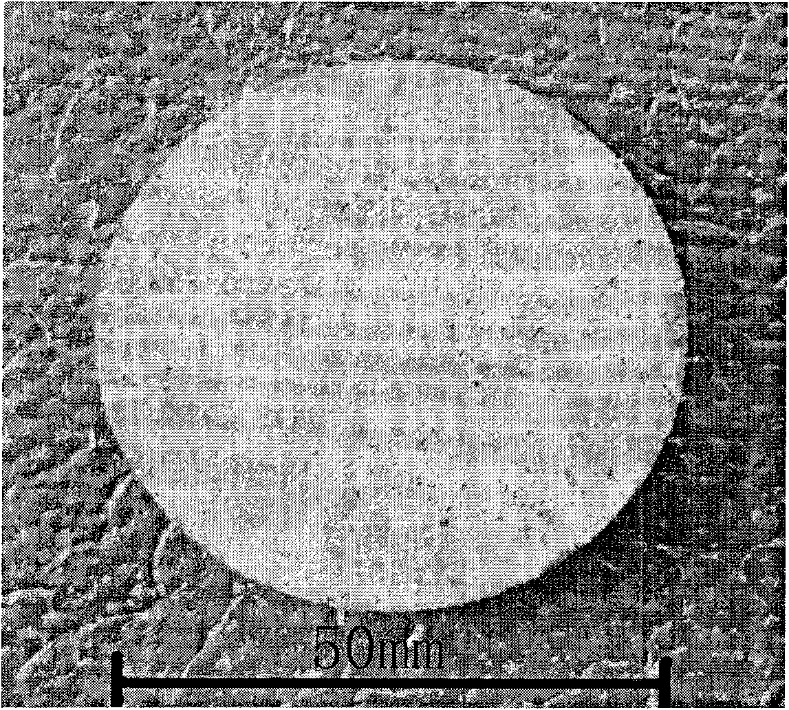 Method of preparing nickel-aluminum base alloy porous material