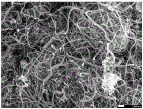 A kind of cyclopentadiene modified carbon nanotube/rubber composite material and preparation method thereof