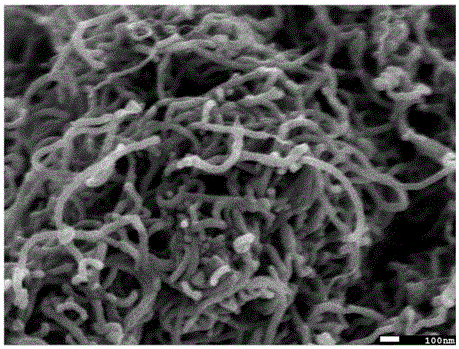 A kind of cyclopentadiene modified carbon nanotube/rubber composite material and preparation method thereof