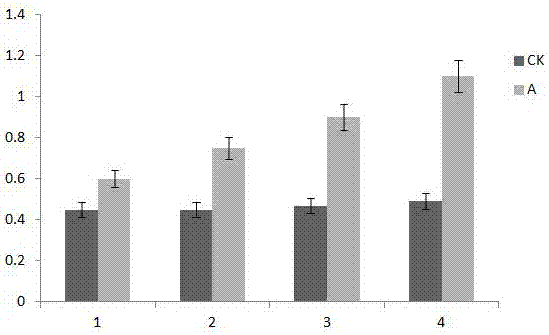 Sunshading topping method for increasing yield of peas MZ-1