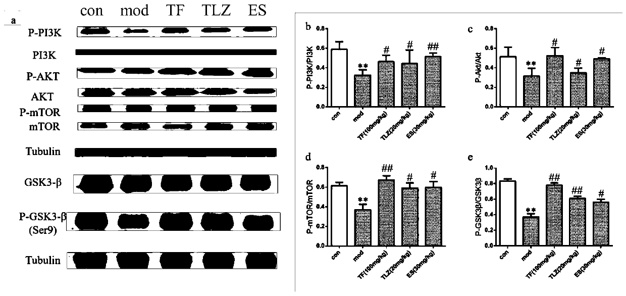 Anti-depression total flavonoid extract as well as preparation method and application thereof