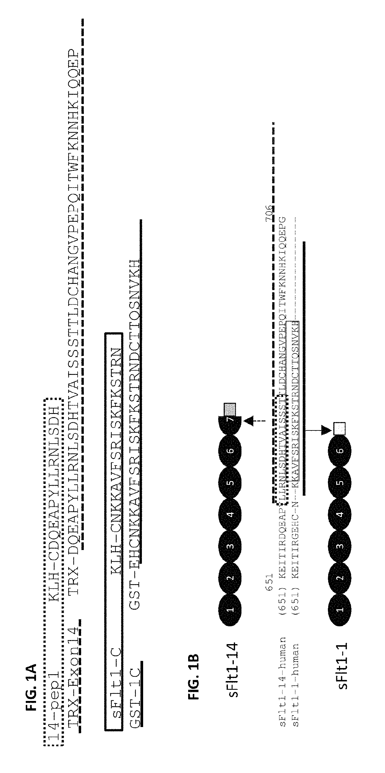 Isoform specific soluble FMS-like tyrosine kinase (sFlt) binding agents and uses thereof