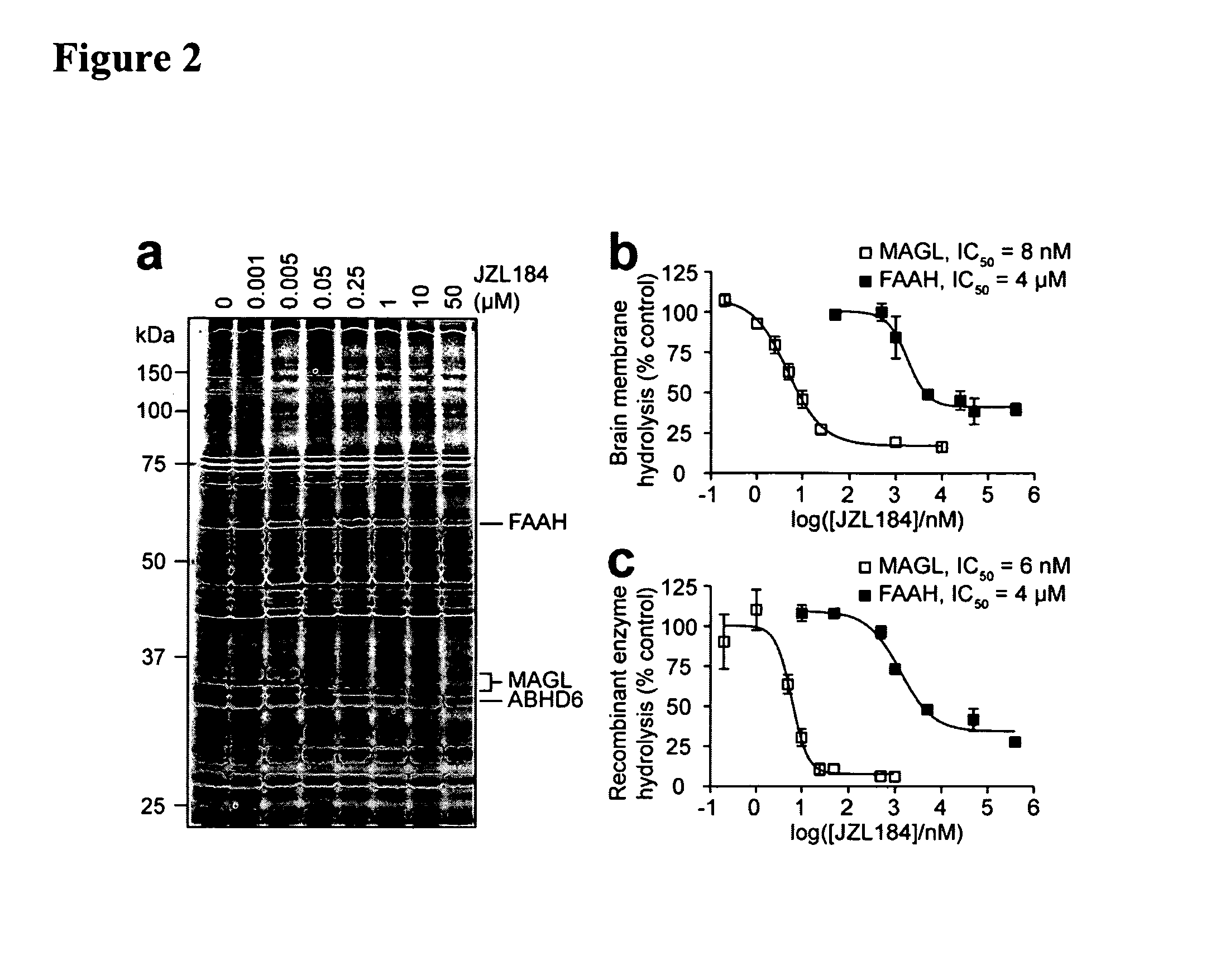 Methods and compositions related to targeting monoacylglycerol lipase