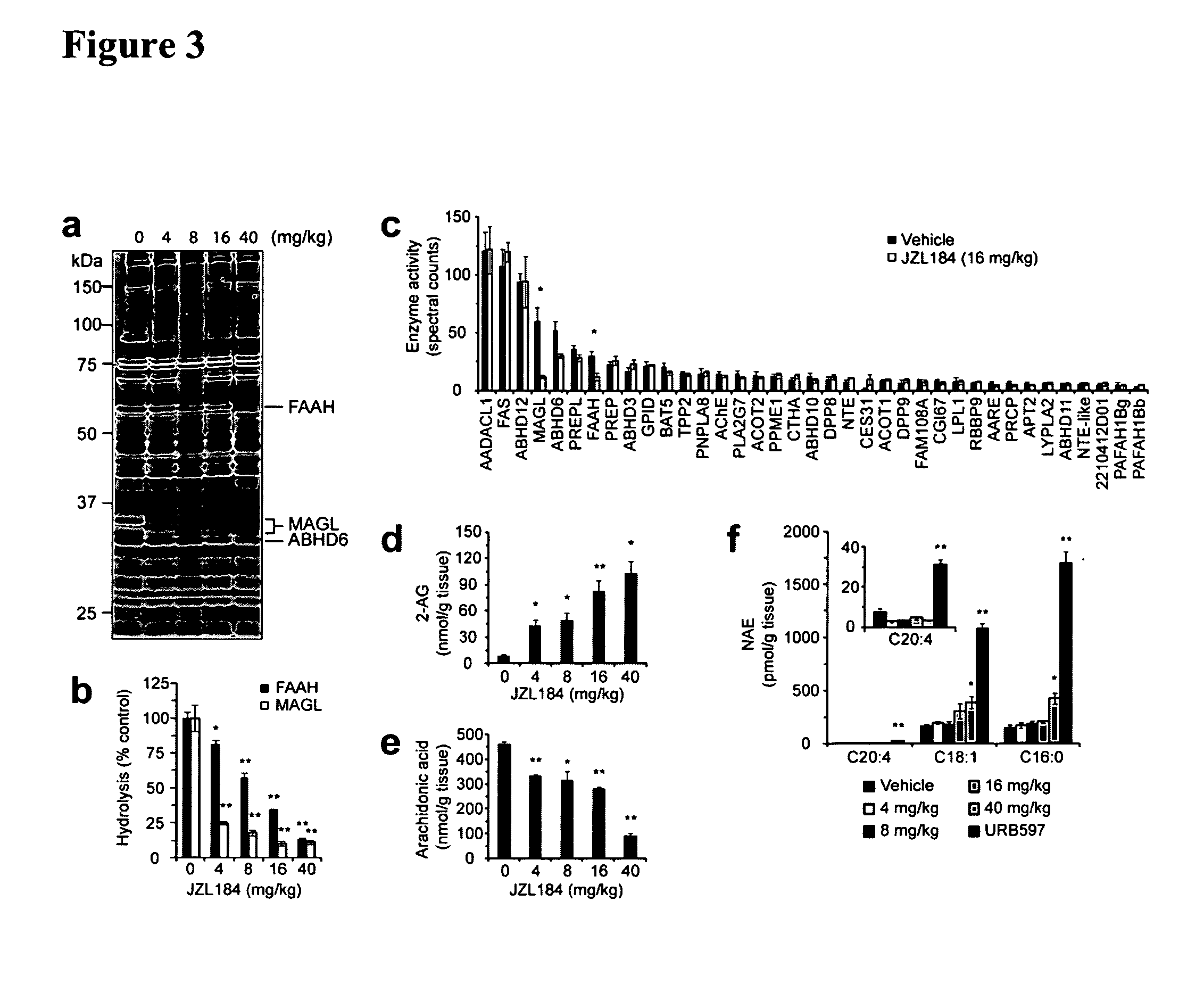 Methods and compositions related to targeting monoacylglycerol lipase