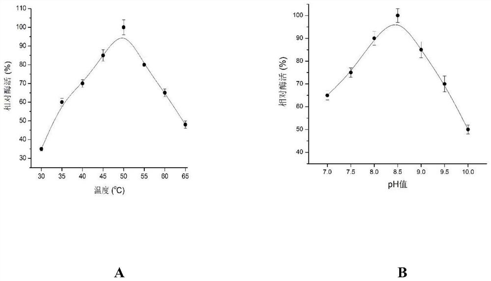 Application and application method of Exiguobacterium P6 keratinase in detergent