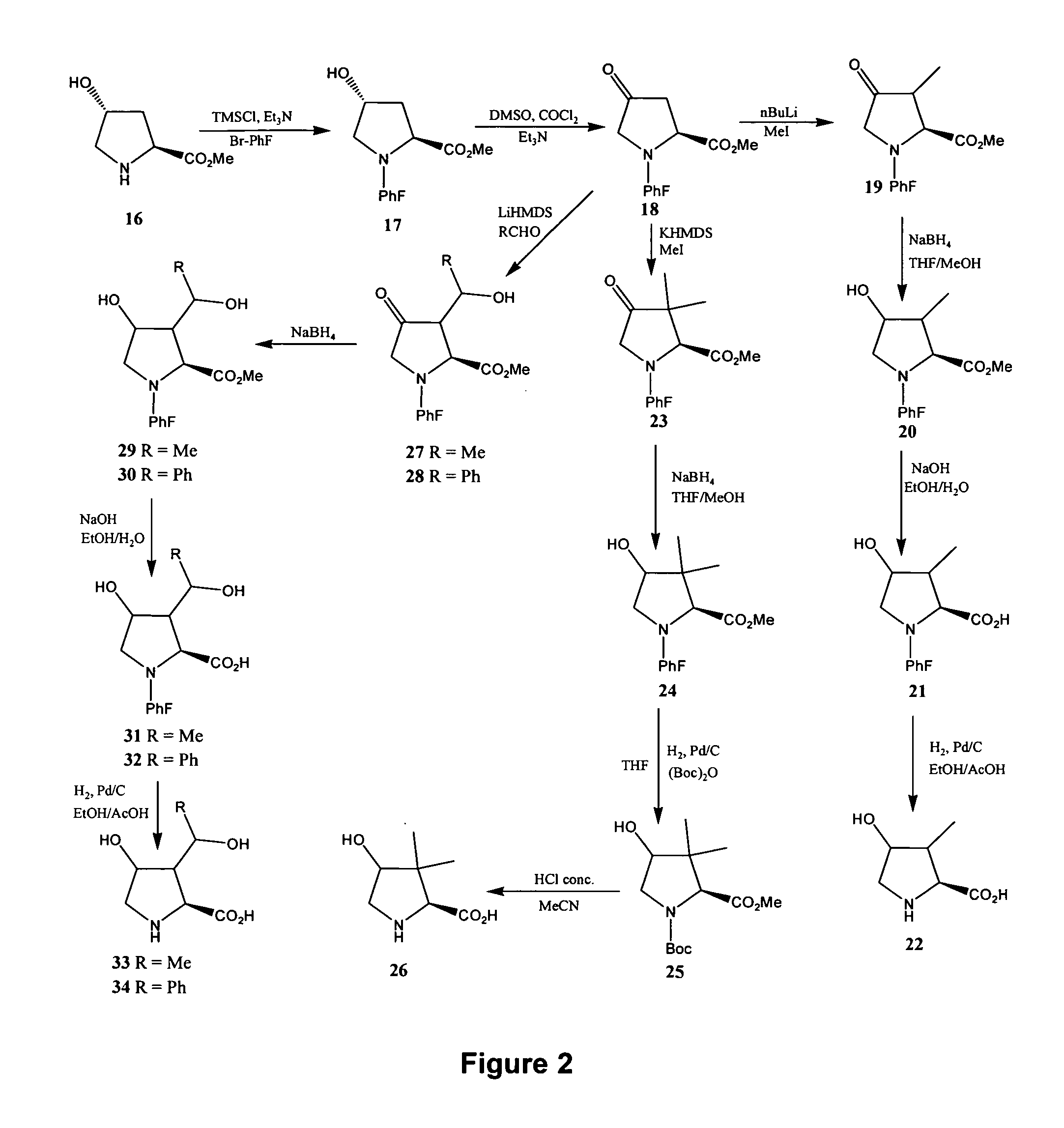 Analogs of 4-hydroxyisoleucine and uses thereof