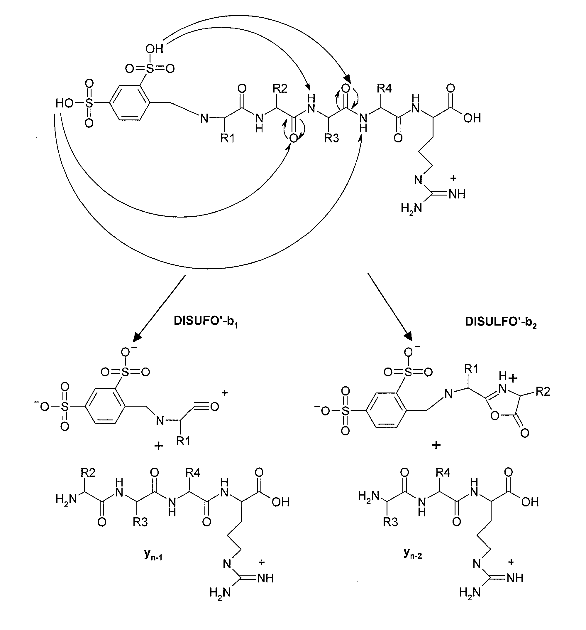 Mass Spectrometry-Based Protein Identification Method